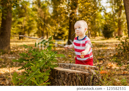 Baby under one year standing leaning on a tree stump outdoors in an autumn forest 123582531