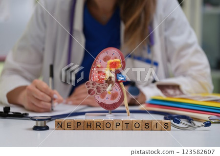 A Comprehensive Medical Overview of Nephroptosis Featuring a Detailed Kidney Model A Comprehensive Medical Overview of Nephroptosis Featuring a Detailed Kidney Model 123582607