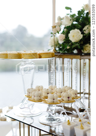 Delicious pastries and mini tarts decorating a table for a wedding reception Delicious pastries and mini tarts decorating a table for a wedding reception 123583099