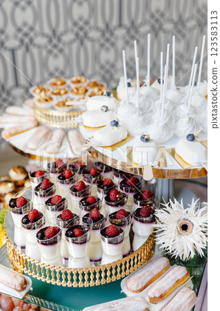Catering service presenting delicious desserts and fruits on a table 123583113