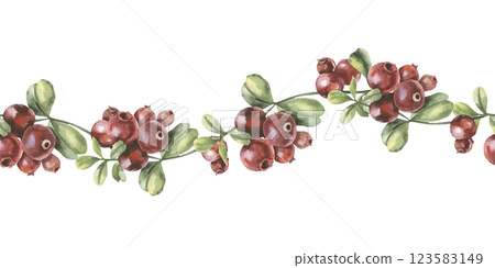Cranberries branches with berries and leaves watercolor seamless border. Hand drawn forest red berries banner, autumn organic food for product packing ,menu, textile, fabric design 123583149