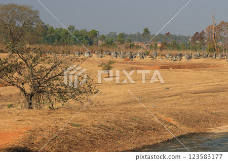 寮國石缸平原 1 號遺址 寮國石缸平原 1 號遺址 123583177