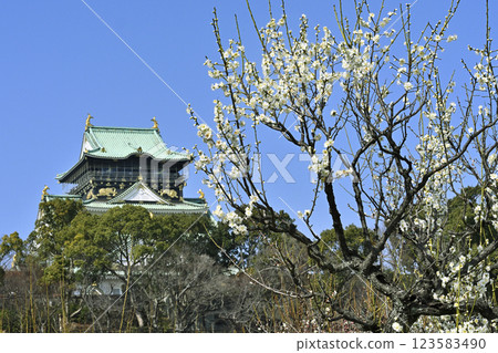 Osaka Castle Bairin Park 123583490
