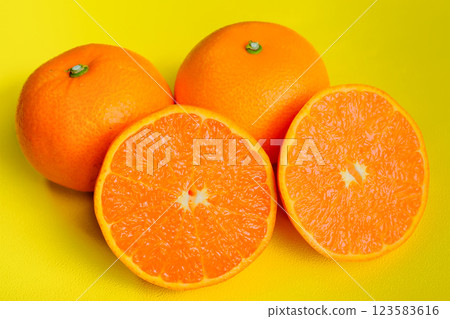 Setoka photographed against a yellow background Setoka photographed against a yellow background 123583616