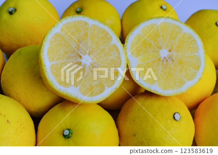 Haruka photographed against a white background Haruka photographed against a white background 123583619