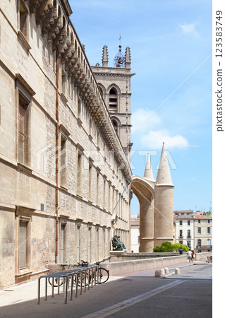 The Faculty of Medicine of Montpellier The Faculty of Medicine of Montpellier 123583749