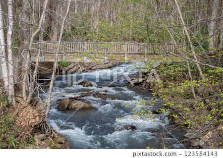 在山的春天山澗 在山的春天山澗 123584143