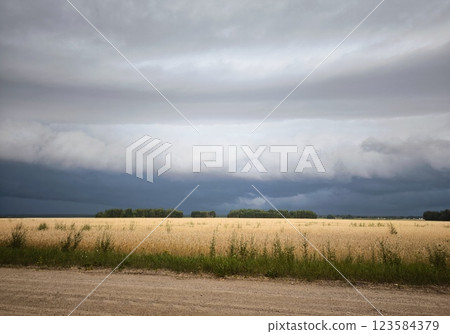 Storm cloud over a wheat fieldin. storm clouds over a wheat field. Storm cloud over a wheat fieldin. storm clouds over a wheat field. 123584379