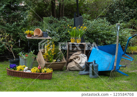 Field flowers with iron watering can. Cottage style gardening concept of rural. Tools and clay pots springtime season. Home planting equipment. Still life  123584708