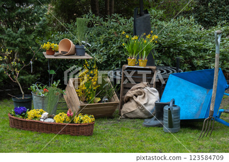 Field flowers with iron watering can. Cottage style gardening concept of rural. Tools and clay pots springtime season. Home planting equipment. Still life Field flowers with iron watering can. Cottage style gardening concept of rural. Tools and clay pots springtime season. Home planting equipment. Still life 123584709