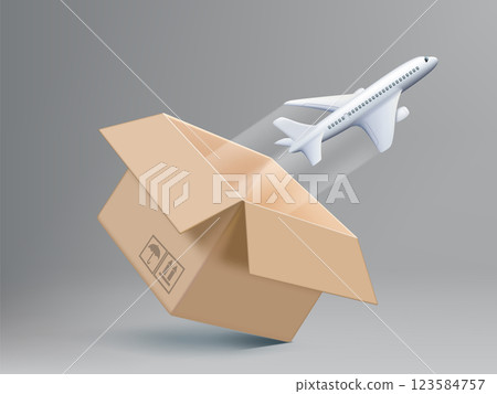 Airplane flies out of the cardboard box. 123584757