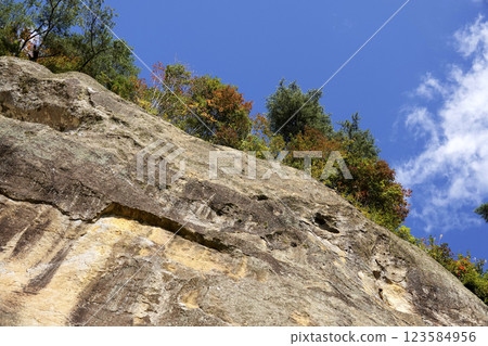 懸崖上的彩色樹木和藍天白雲 懸崖上的彩色樹木和藍天白雲 123584956