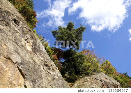 Colorful trees on the cliff and blue sky and clouds Colorful trees on the cliff and blue sky and clouds 123584957