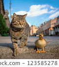 A cat walking around town with a duckling 123585278