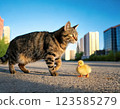 A cat walking around town with a duckling 123585279