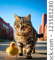 A cat walking around town with a duckling 123585280