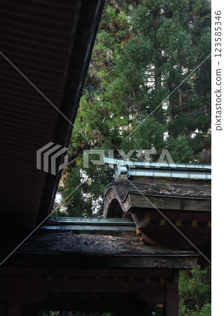 (Enryakuji Temple, Mount Hiei) 005 123585346