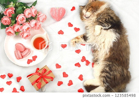 Funny sleeping cat, bouquet of roses, tea, hearts and marshmallows on a light background. Concept for Valentine's Day or Women's Day, Mother's Day, banner. , congratulations to beloved on the holiday, Funny sleeping cat, bouquet of roses, tea, hearts and marshmallows on a light background. Concept for Valentine's Day or Women's Day, Mother's Day, banner. , congratulations to beloved on the holiday, 123585498
