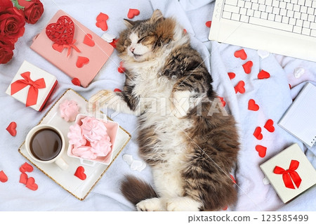 Modern woman work desk, cozy home office with cat, valentine's day concept. Computer, coffee latte, red hearts, flowers and meringues on a light blanket, healthy lifestyle, flat lay, selective focus. Modern woman work desk, cozy home office with cat, valentine's day concept. Computer, coffee latte, red hearts, flowers and meringues on a light blanket, healthy lifestyle, flat lay, selective focus. 123585499