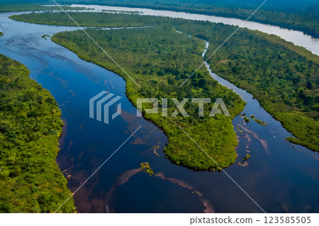 river in the forest 123585505
