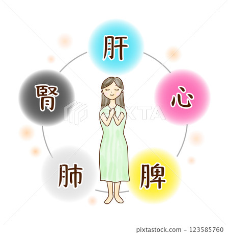 一位年輕女子被五臟六腑圖像包圍的插圖 一位年輕女子被五臟六腑圖像包圍的插圖 123585760