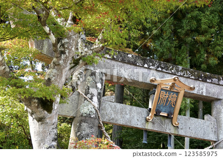 達谷岩毘沙門堂：第一座鳥居和色彩繽紛的樹木 123585975