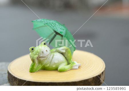 A frog, umbrella and stump wet with rain in a residential area 123585991