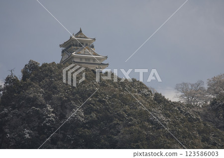 Gifu Gifu Castle Tower and Mount Kinka 6 Gifu Gifu Castle Tower and Mount Kinka 6 123586003