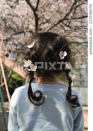 櫻花髮飾，馬尾女孩的背影 123586076