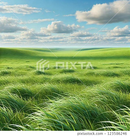 陽光草地景觀 陽光草地景觀 123586246