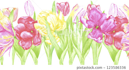 Hand drawn watercolor colorful tulips seamless border. Illustration of spring flowers isolated on white background. Can be used for textile, fabric, wrapping and other printed products. Hand drawn watercolor colorful tulips seamless border. Illustration of spring flowers isolated on white background. Can be used for textile, fabric, wrapping and other printed products. 123586336