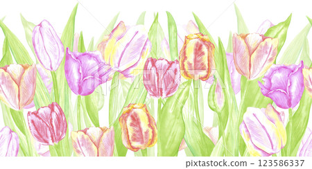 Hand drawn watercolor colorful tulips seamless border. Illustration of spring flowers isolated on white background. Can be used for textile, fabric, wrapping and other printed products. Hand drawn watercolor colorful tulips seamless border. Illustration of spring flowers isolated on white background. Can be used for textile, fabric, wrapping and other printed products. 123586337