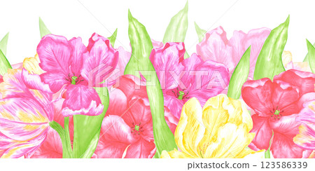 Hand drawn watercolor colorful tulips seamless border. Illustration of spring flowers isolated on white background. Can be used for textile, fabric, wrapping and other printed products. 123586339