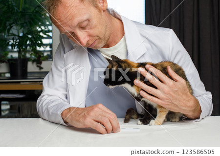 Pet cat and male vet in veterinary clinic 123586505