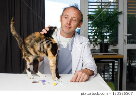 Veterinarian doctor examining a cat pet indoor 123586507