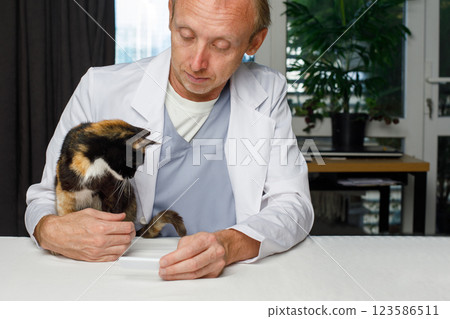 Veterinarian doctor looking at young cat pet in veterinary clinic 123586511