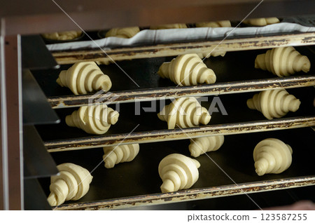 Fermentation of croissant dough, shaping of dough 123587255
