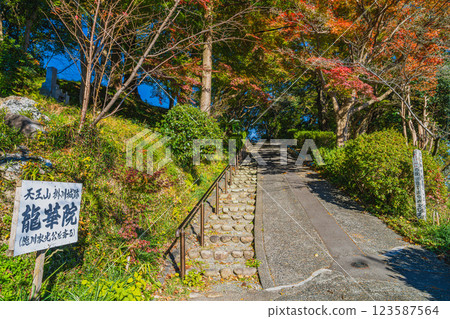 靜岡縣掛川市掛川城附近的龍家院秋葉美景 123587564