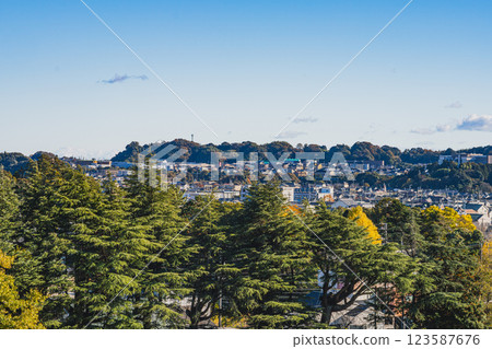 從掛川市龍華院眺望的街景（靜岡縣） 123587676