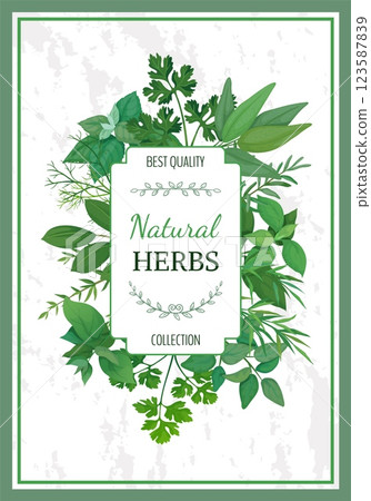 Herbal frame. Natural herbs, best quality label. emblem design. Organic rosemary and oregano. Culinary and cooking elements. Green leaves condiment. Cartoon flat isolated vector illustration 123587839