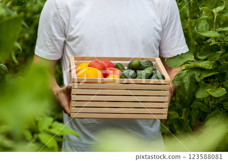 A man in a white T-shirt stands in a greenhouse and holds a wooden box with tomatoes and cucumbers A man in a white T-shirt stands in a greenhouse and holds a wooden box with tomatoes and cucumbers 123588081