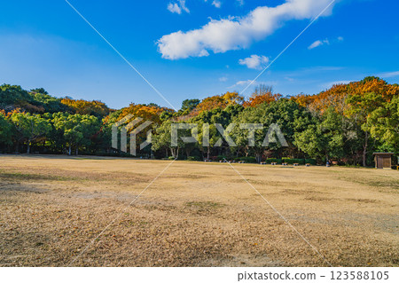 Autumn scenery of Hamamatsu Castle Park in Hamamatsu city with autumn leaves and blue sky (Shizuoka prefecture) 123588105