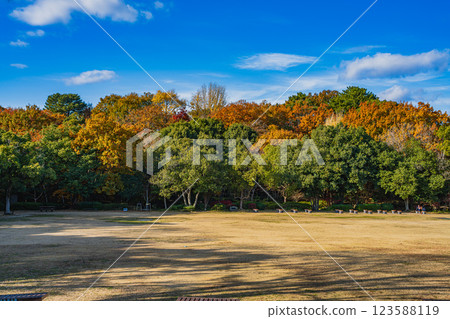 Autumn scenery of Hamamatsu Castle Park in Hamamatsu city with autumn leaves and blue sky (Shizuoka prefecture) Autumn scenery of Hamamatsu Castle Park in Hamamatsu city with autumn leaves and blue sky (Shizuoka prefecture) 123588119