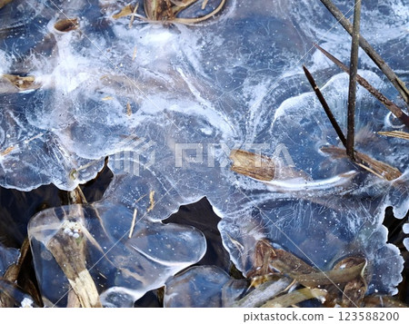 Abstract Ice Formations on a Lake with Reeds in Winter 123588200