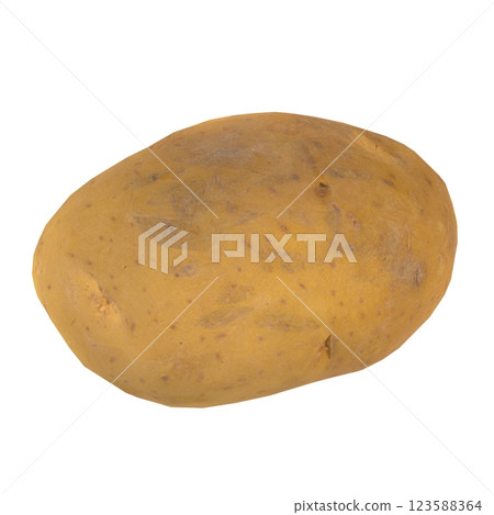 Realistic 3D rendering of a potato on a plain background Realistic 3D rendering of a potato on a plain background 123588364