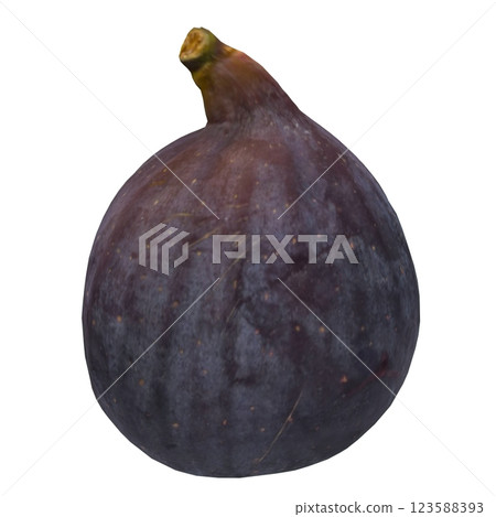 Fresh fig resting on a neutral background ready for use 123588393
