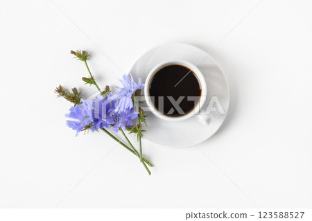 White cup with decaf chicory drink and blue chicory flowers on gray background. Healthy eating 123588527