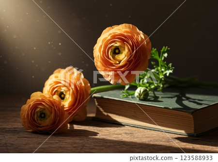 Vintage Aesthetic Peach Ranunculus Table Close-Up 123588933