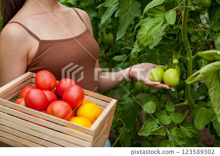 Girl holding wooden box with tomatoes 123589302