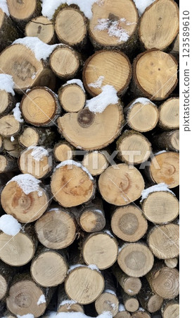 Stack of Wooden Logs Covered with Snow in a Natural Outdoor Setting 123589610